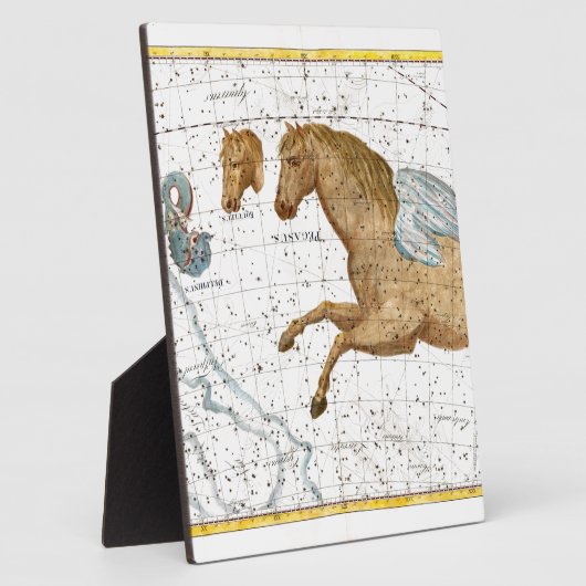 Plaque Photo Pegasus (Côté)