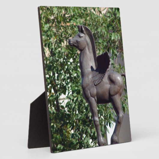Plaque Photo Pegasus (Côté)