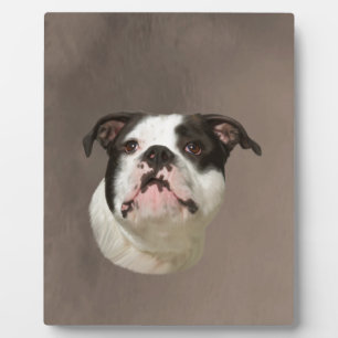 Plaque Photo Peinture couleur d'eau Bulldog