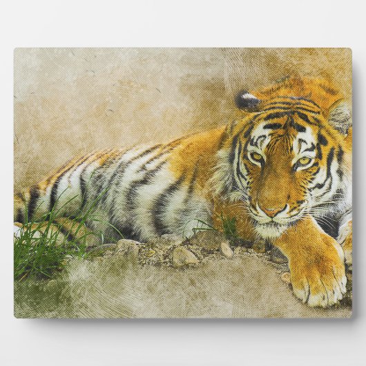 Plaque Photo Peinture sur tigre (Devant)