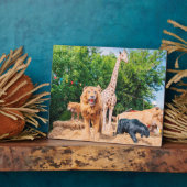 Plaque Photo Peluches (Côté)