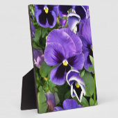 Plaque Photo pensées violettes (Côté)