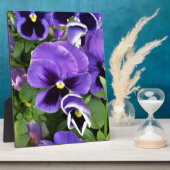 Plaque Photo pensées violettes (Côté)