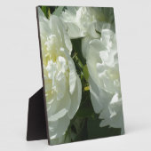 Plaque Photo Peonies blanches (Côté)