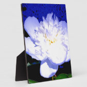 Plaque Photo Peony blanc et violet (Côté)