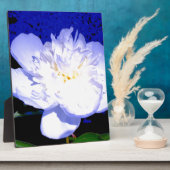 Plaque Photo Peony blanc et violet (Côté)