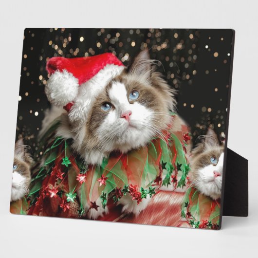 Plaque Photo Père Noël Cat (Côté)