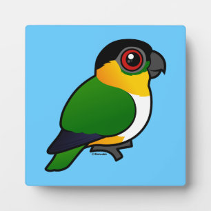 Plaque Photo Perroquet à tête noire