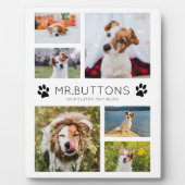 Plaque Photo Personnalisé Moderne Nom de l'animal Photo Collage (Devant)