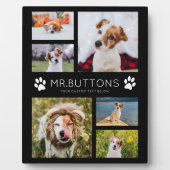 Plaque Photo Personnalisé Moderne Nom de l'animal Photo Collage (Devant)