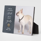 Plaque Photo Personnalisé Pet Memorial Pet Perdre Photo Collage (Côté)