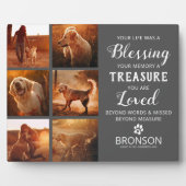 Plaque Photo Perte d'animal de compagnie - Collage photo commém (Devant)