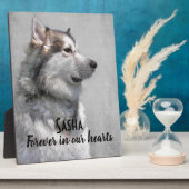 Plaque Photo Perte d'un Malamute d'Alaska (Côté)