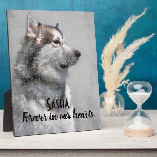 Plaque Photo Perte d'un Malamute d'Alaska (Côté)