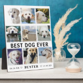 Plaque Photo Perte Moderne d'Animal de Compagnie | Meilleur Chi (Côté)