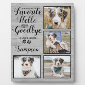 Plaque Photo Perte personnalisée de l'animal de compagnie Photo (Devant)