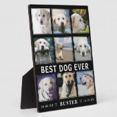 Plaque Photo Pertes d'animaux modernes | Meilleur chien photo c (Côté)