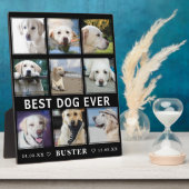 Plaque Photo Pertes d'animaux modernes | Meilleur chien photo c (Côté)