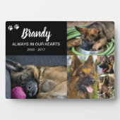 Plaque Photo Pet Memorial | 5 Photo Remembrance (Devant)