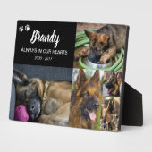 Plaque Photo Pet Memorial | 5 Photo Remembrance (Côté)