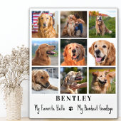 Plaque Photo Pet Memorial Custom 9 Photo Collage Chat Chien