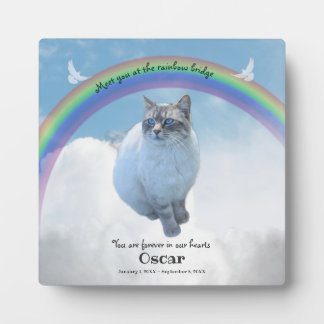 Plaque Photo Pet Memorial Keepsaké Rainbow Bridge