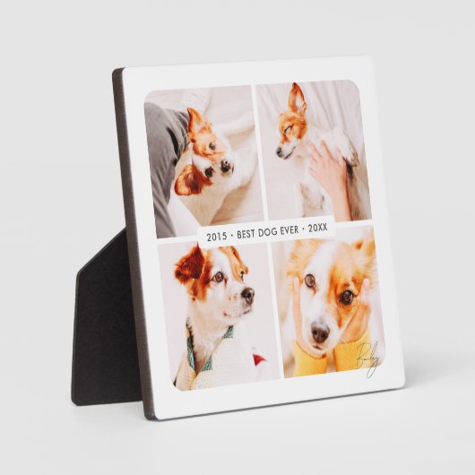 Plaque Photo Pet Memorial Meilleur Chien Jamais Photo Collage m (Recto)