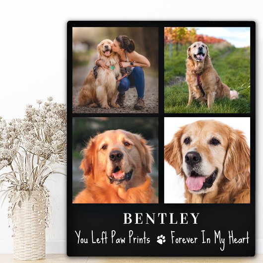 Plaque Photo Pet Perte Cadeau Chien Memorial Custom 4 Photo Col