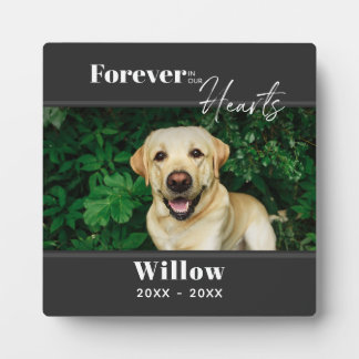 Plaque Photo Pet Photo Custom Memorial Keepsake 