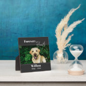 Plaque Photo Pet Photo Custom Memorial Keepsake  (Insitu)