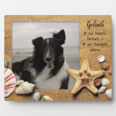 Plaque Photo Pet Photo Mémoire de plage debout Coques (Devant)
