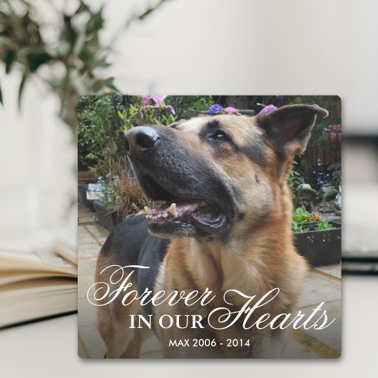 Plaque Photo Pet Photo Memorial Gift | Forever in our Hearts