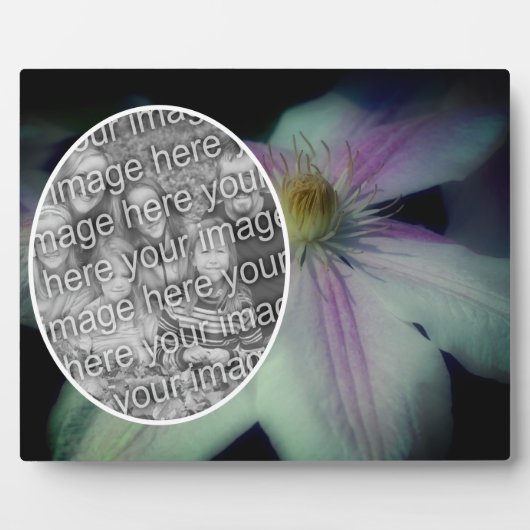 Plaque Photo Pétales De Fleurs Clematis Créez Votre Propre Phot (Devant)