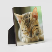 Plaque Photo Petit Bébé de couchage Kitty (Recto)