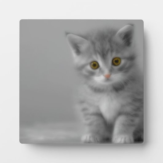 Plaque Photo Petit chaton doux (Devant)
