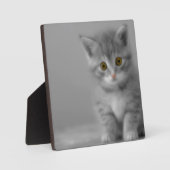 Plaque Photo Petit chaton doux (Recto)
