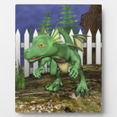 Plaque Photo Petit dragon (Devant)