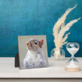 Plaque Photo Petit écureuil gris doux et souple (Insitu)