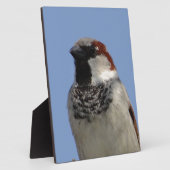 Plaque Photo Petit oiseau mignon (Côté)