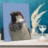 Plaque Photo Petit oiseau mignon (Côté)
