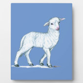 Plaque Photo Petit White Lamb (Devant)