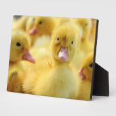 Plaque Photo Petits canards (Côté)