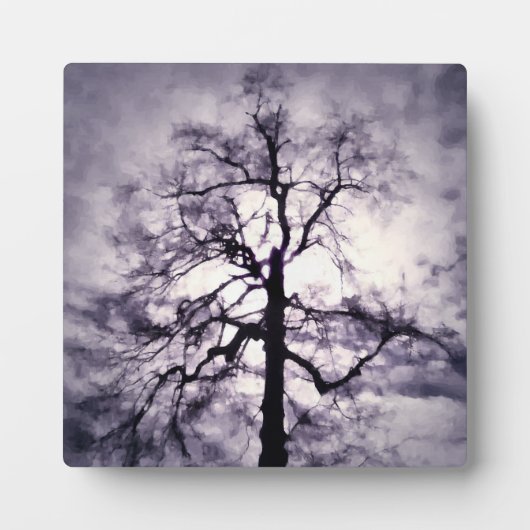 Plaque photo Phantastes (Devant)