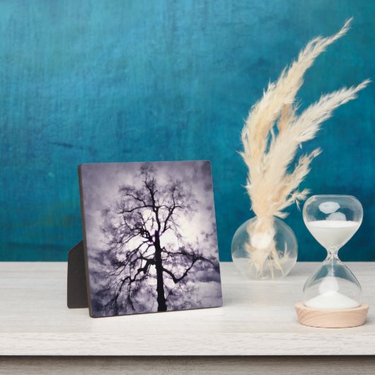 Plaque photo Phantastes (Insitu)