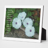 Plaque Photo Philippiens 4:19 (Côté)