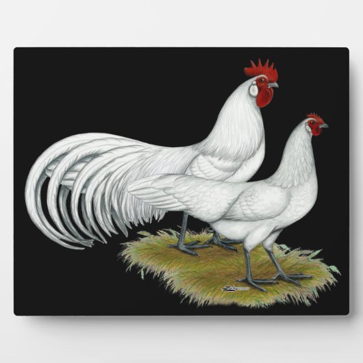 Plaque Photo Phoenix : Paire blanche (Devant)