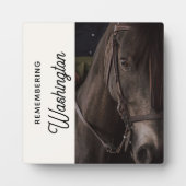 Plaque Photo Photo commémorative du cheval Equine (Devant)