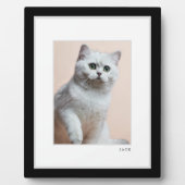 Plaque Photo Photo d'animal de compagnie | Cadre moderne minima (Devant)