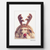 Plaque Photo Photo d'animal de compagnie | Cadre moderne minima (Devant)