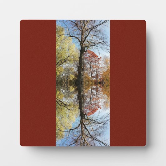 Plaque Photo Photo d'arbre mise en miroir (Devant)